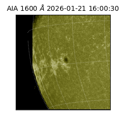 saia - 2026-01-21T16:00:30.995000