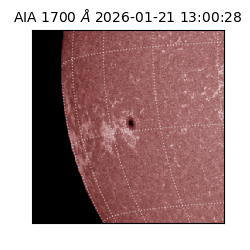 saia - 2026-01-21T13:00:28.721000