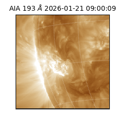 saia - 2026-01-21T09:00:09.480000