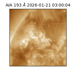 saia - 2026-01-21T03:00:04.843000