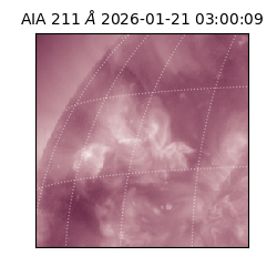 saia - 2026-01-21T03:00:09.633000