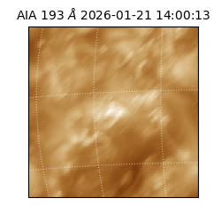 saia - 2026-01-21T14:00:13.470000