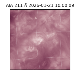 saia - 2026-01-21T10:00:09.625000