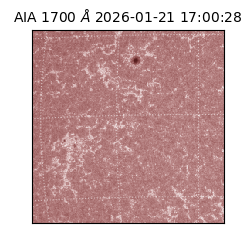 saia - 2026-01-21T17:00:28.718000