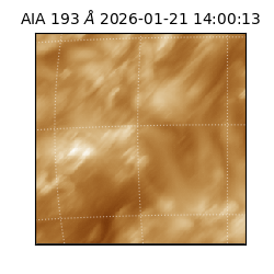 saia - 2026-01-21T14:00:13.470000