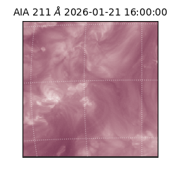 saia - 2026-01-21T16:00:00.710000