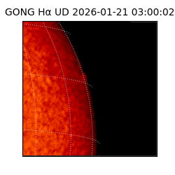 gong - 2026-01-21T03:00:02