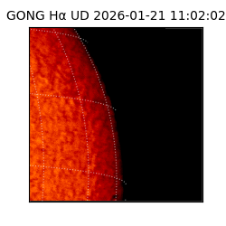 gong - 2026-01-21T11:02:02