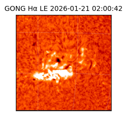 gong - 2026-01-21T02:00:42