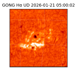 gong - 2026-01-21T05:00:02