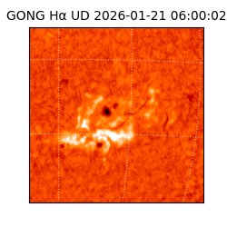 gong - 2026-01-21T06:00:02