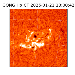 gong - 2026-01-21T13:00:42