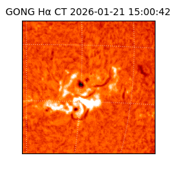 gong - 2026-01-21T15:00:42