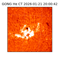 gong - 2026-01-21T20:00:42