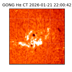 gong - 2026-01-21T22:00:42