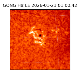 gong - 2026-01-21T01:00:42