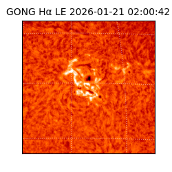 gong - 2026-01-21T02:00:42