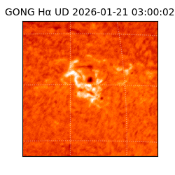 gong - 2026-01-21T03:00:02