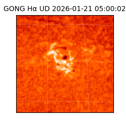 gong - 2026-01-21T05:00:02