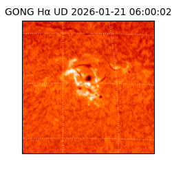 gong - 2026-01-21T06:00:02