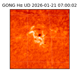 gong - 2026-01-21T07:00:02