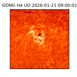 gong - 2026-01-21T09:00:02