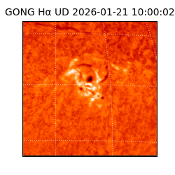 gong - 2026-01-21T10:00:02