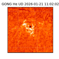 gong - 2026-01-21T11:02:02