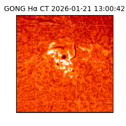 gong - 2026-01-21T13:00:42