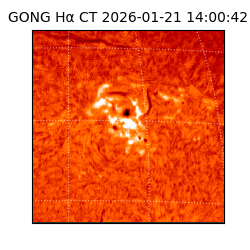 gong - 2026-01-21T14:00:42