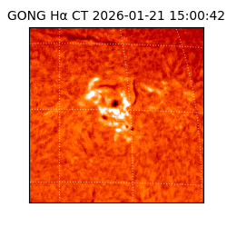 gong - 2026-01-21T15:00:42