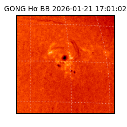 gong - 2026-01-21T17:01:02