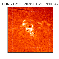 gong - 2026-01-21T19:00:42