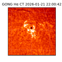 gong - 2026-01-21T22:00:42