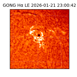 gong - 2026-01-21T23:00:42