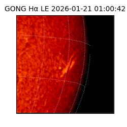 gong - 2026-01-21T01:00:42