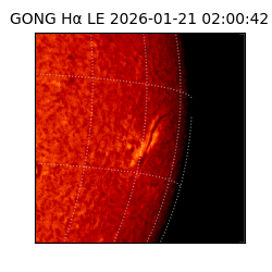 gong - 2026-01-21T02:00:42