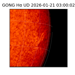 gong - 2026-01-21T03:00:02