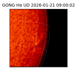 gong - 2026-01-21T09:00:02