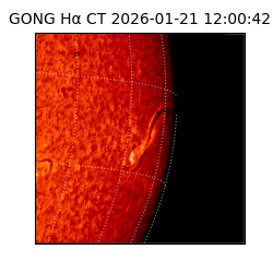 gong - 2026-01-21T12:00:42