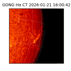 gong - 2026-01-21T16:00:42