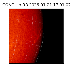 gong - 2026-01-21T17:01:02