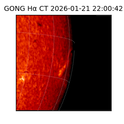 gong - 2026-01-21T22:00:42