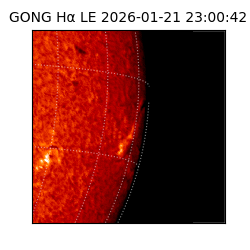 gong - 2026-01-21T23:00:42