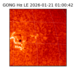 gong - 2026-01-21T01:00:42