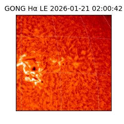 gong - 2026-01-21T02:00:42