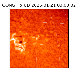 gong - 2026-01-21T03:00:02