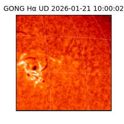 gong - 2026-01-21T10:00:02