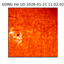 gong - 2026-01-21T11:02:02