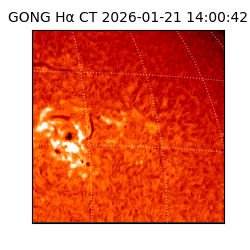 gong - 2026-01-21T14:00:42